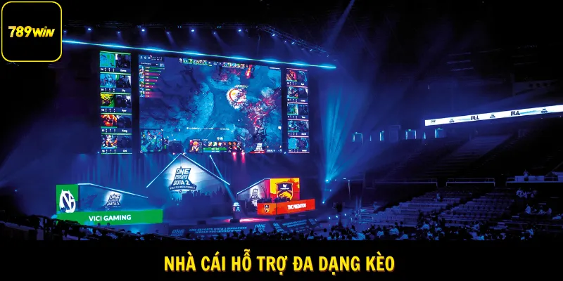 Nhà cái cung cấp nhiều kèo cược hay